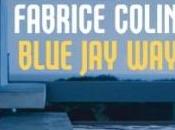 Blue Fabrice Colin