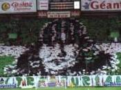 ASSE Greens Angels arrêtent frais