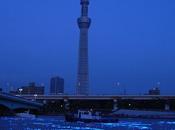 Tokyo hotaru festival