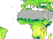 déserts verdissent grâce hausse