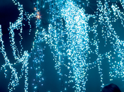 Galerie BENAMOU exposition AIYOUNG