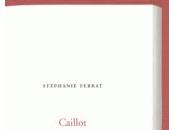 [note lecture] Stéphanie Ferrat, "Caillot", Antoine Emaz