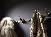 Fluo dark visite style