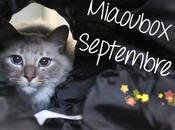 Miaoubox Septembre