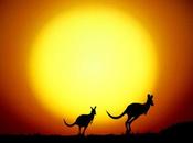 kangourous sont vraiment sales troll