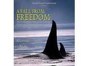 film entier "All Fall From Freedom(VOSTF) pour Dauphins