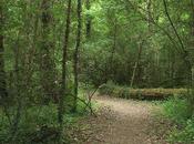 Respectons notre Mère Nature, changeons habitudes