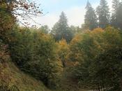 Pointe Chaurionde (Bauges)