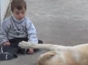 Dans Labrador preuve