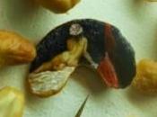 L’art ailes papillon