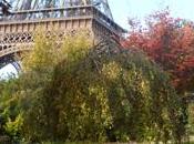automne Paris