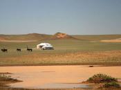 Mongolie Areva diversifie approvisionnement uranium