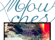 mouches charrettes 2014