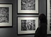 Sebastião Salgado: Photographing pristine