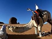 Regards Croisés, Olivier Brestin