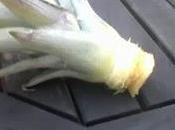 Revue presse semaine