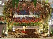 Floralies 2013 Bourg Bresse grand décor