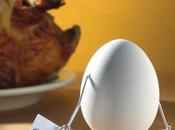 Bent objects terry border