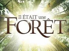 était forêt vous fera rêver