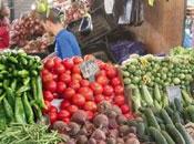 Dépenses ménages algériens 41,8 budget familial consacré l’alimentaire