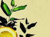 White Denim Corsicana Lemonade