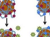 GRIPPE: Comment virus dégage piège gluant mucus Virology Journal
