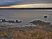 Novembre, première photo...