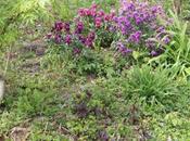 Vandalisme, équipe suite