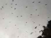 phrases sûres d'elles