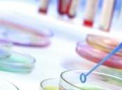 PCB: effets cerveau pour Environmental Health Perspectives