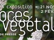 Noces végétales, Tzuri Gueta, cœur Grandes Serres Jardin Plantes.
