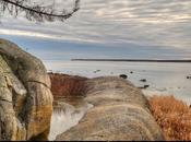 Novembre, dernières…