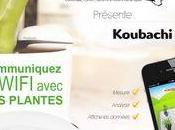 Koubachi, système d'aide électronique l'entretien plantes