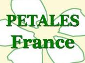 L’Attachement, défis troubles PETALES France