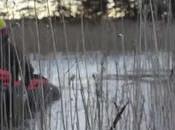 Basse pression belles emotions