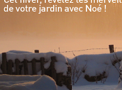 Concours photo d'hiver "Jardins Noé"
