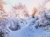 L’Art l’Aquarelle