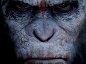 affiches pour Planète Singes: L’Affrontement".