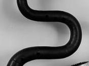 découverte instruments inconnus serpent