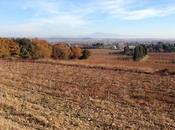 Promenade Ventoux d'avant hiver