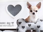 collection Hearts Louisdog pour chiens