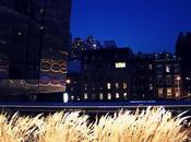 photos High Line Park.