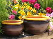 Voilà beau métier artisanal touche terre Potier