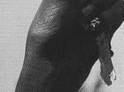 Ceux parlent oiseaux