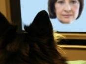 NEURO: Votre chien vous reconnaît photo! Animal Cognition