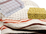 Respectons notre planète, changeons habitudes