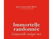 Immortelle randonnée Jean-Christophe Rufin éditions Guérin, chronique Dominique Lin.