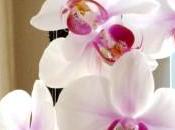 2014 vous apporte...