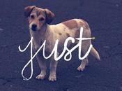 Frames life s’évader pendant secondes