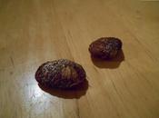 Semer graines Mangoustan